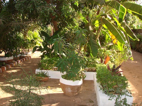 le jardin